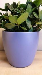 Bloempot, paars, hoogte 11cm, binnen diameter 10,5cm, nieuw!, Tuin en Terras, Bloempotten, Ophalen, Binnen
