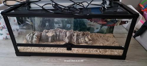 Reptiellenterrarium 77 cm l 32 cm breed 32 hoog, Dieren en Toebehoren, Reptielen en Amfibieën | Toebehoren, Zo goed als nieuw