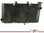 RADIATEUR Honda CBR 1100 XX Blackbird 1996-1998 (CBR1100XX), Motoren, Gebruikt