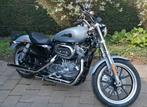 Harley sportster superlow 883 /bwj2020... 3600km!!, Particulier, 2 cilinders, 883 cc, Chopper