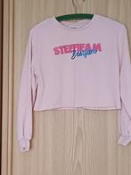 Roze sweater Jbc Maat 152, Kinderen en Baby's, Kinderkleding | Maat 152, JBC, Zo goed als nieuw, Shirt of Longsleeve, Verzenden