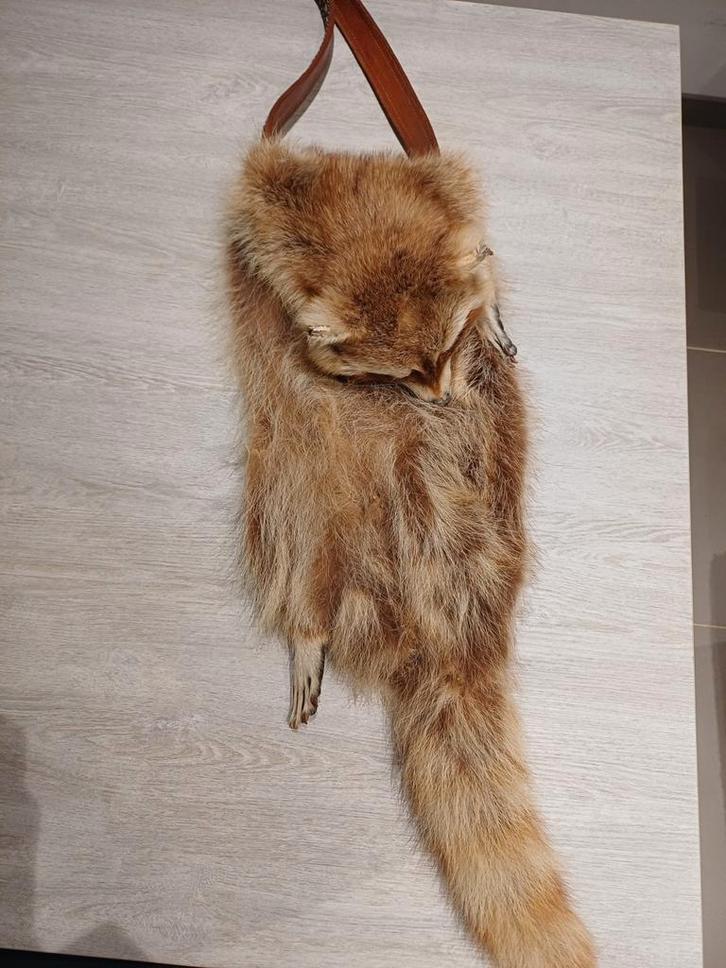 Taxidermie Wasbeer tas, Antiek en Kunst, Kunst | Overige Kunst, Ophalen