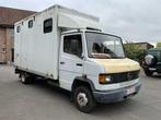 1986 Mercedes-Benz Lichte vracht Veewagen oldtimer, Auto's, Overige brandstoffen, Mercedes-Benz, Bedrijf, Te koop