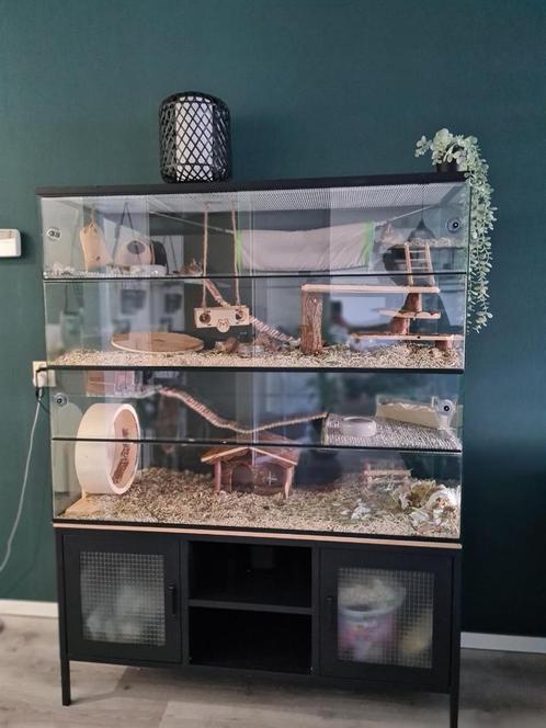 Chinchilla villa zonder tralies 120x50x120 - Knaagdierkooi, Dieren en Toebehoren, Knaagdieren en Konijnen | Hokken en Kooien, Nieuw