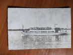 Postkaart Nederland Biesbosch Zilvermeeuw 7517, Ophalen of Verzenden