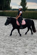 Super lieve kinderpony shetlander merrie, Dieren en Toebehoren, Merrie, Zadelmak, A pony (tot 1.17m), 11 jaar of ouder