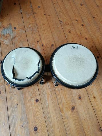 Bongo's  beschikbaar voor biedingen