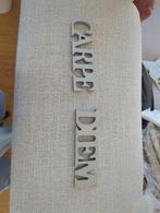 Dekoratief magneetslogan ' Carpe diem', Huis en Inrichting, Woonaccessoires | Wanddecoraties, Ophalen of Verzenden, Zo goed als nieuw