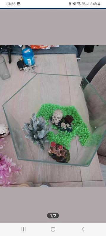Aquarium beschikbaar voor biedingen