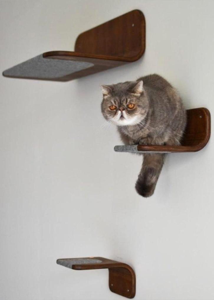 Kattenmeubel, Animaux & Accessoires, Accessoires pour chats, Neuf, Enlèvement ou Envoi