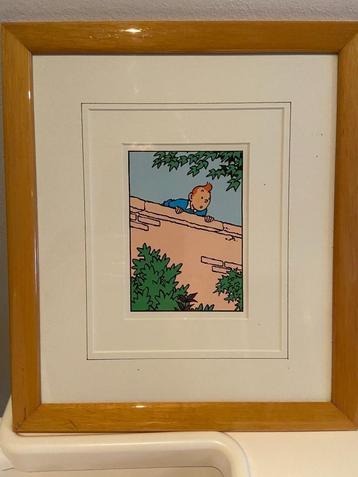 Cadre Tintin beschikbaar voor biedingen