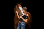 Super lief en vriendelijke quarterhorse ruin, Tickets en Kaartjes