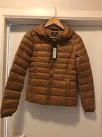 nieuwe jas met kap, Kleding | Dames, Jassen | Winter, Ophalen, Nieuw, Maat 36 (S)