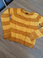 JBC gilet maat 170/176, Kinderen en Baby's, Kinderkleding | Maat 170, Meisje, Trui of Vest, JBC, Ophalen of Verzenden