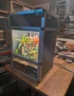 Paludarium Dutch Rana 45x45x75 bio actif, Animaux & Accessoires, Reptiles & Amphibiens | Accessoires, Enlèvement