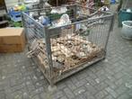 GEGALVANISEERDE  KOOI BAK, Antiek en Kunst, Ophalen of Verzenden