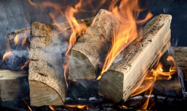 Bois de chauffage à vendre Coupe récente Lot / Beersel, Tuin en Terras, Brandhout, Blokken, Ophalen