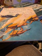 Het wonderlijk avontuur van de kalypso, Ophalen of Verzenden, Zo goed als nieuw, Prentenboek