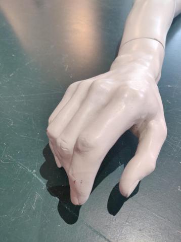 Gedetailleerd paar mannenarmen paspop/mannequin beschikbaar voor biedingen