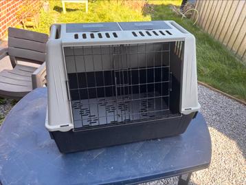 Cage de transport Chien beschikbaar voor biedingen
