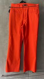 ZARA L oranje BROEK, Kleding | Heren, Ophalen of Verzenden, Zo goed als nieuw, Oranje, Zara