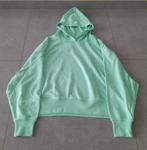 Sweater Bristol nieuw met etiket, Kleding | Dames, Truien en Vesten, Maat 38/40 (M), Nieuw, Ophalen of Verzenden, Bristol
