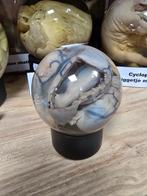 Kitten foetus nog in baarmoeder op sterk water, Verzamelen, Dierenverzamelingen, Ophalen