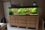Cychliden-aquarium 200x60x70 met frame en kast., Ophalen, Gebruikt