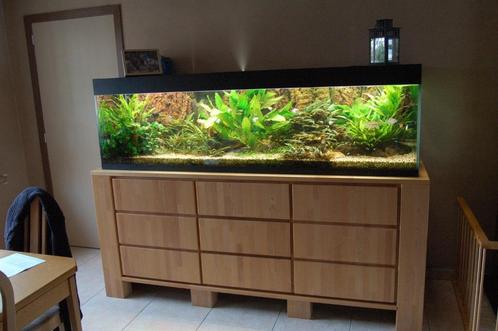 Cychliden-aquarium 200x60x70 met frame en kast., Dieren en Toebehoren, Vissen | Aquaria en Toebehoren, Gebruikt, Ophalen