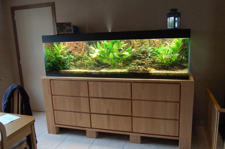 Cychliden-aquarium 200x60x70 met frame en kast., Dieren en Toebehoren, Vissen | Aquaria en Toebehoren, Gebruikt, Ophalen