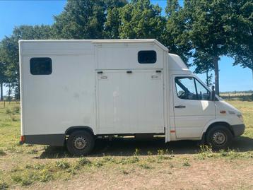 Paardenbus Mercedes beschikbaar voor biedingen