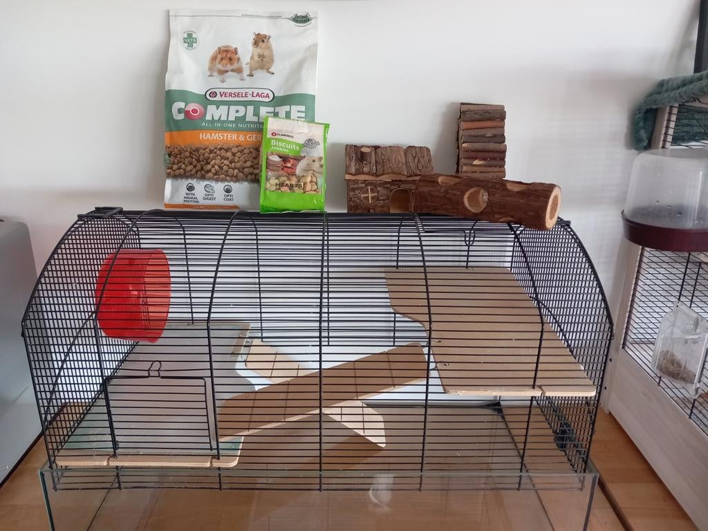 Cage rongeur hamster, Enlèvement, Cage, Souris