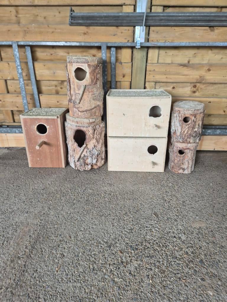 Vogelkastjes, Enlèvement