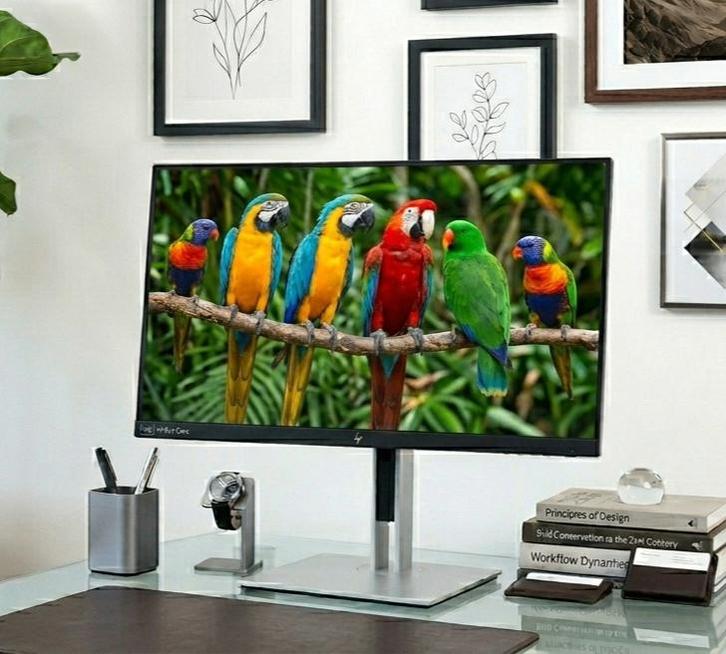 Écran PC Professionnel HP 24 pouces iPS FHD Neuf, Informatique & Logiciels, Moniteurs, Utilisé, 60 Hz ou moins, DisplayPort, HDMI