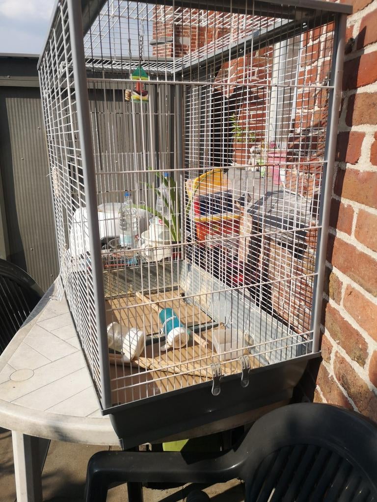Cage pour calopsittes ou petits péroquets, Animaux & Accessoires, Oiseaux | Cages & Volières, Enlèvement