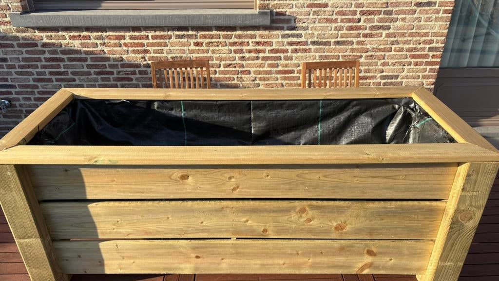 belles fleurs de pin, plantes, boîtes à herbes, Jardin & Terrasse, Neuf, 30 à 60 cm, Enlèvement, Intérieur