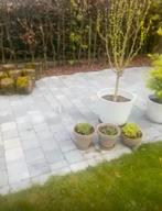 Blauwe steen 20/20, Ophalen, Zo goed als nieuw