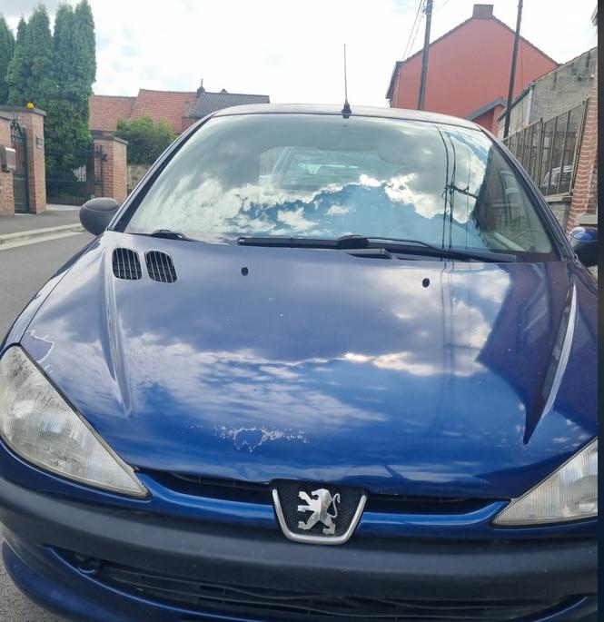 Peugeot 206, Autos, Achat, Particulier, Traction avant, Euro 3
