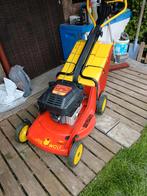 Tondeuse Thermique Wolf, WOLF Garten, Tondeuse rotative, Tondeuses à gazon à essence, 40 à 49 cm