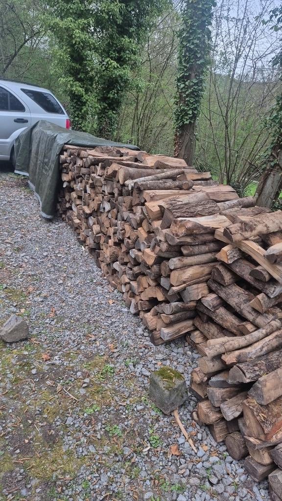 Chêne bois de chauffage, Jardin & Terrasse, Bois de chauffage, Chêne, Enlèvement