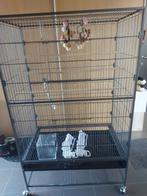 Ruime kamervoliere, Dieren en Toebehoren, Ophalen, Zo goed als nieuw, Metaal, Volière