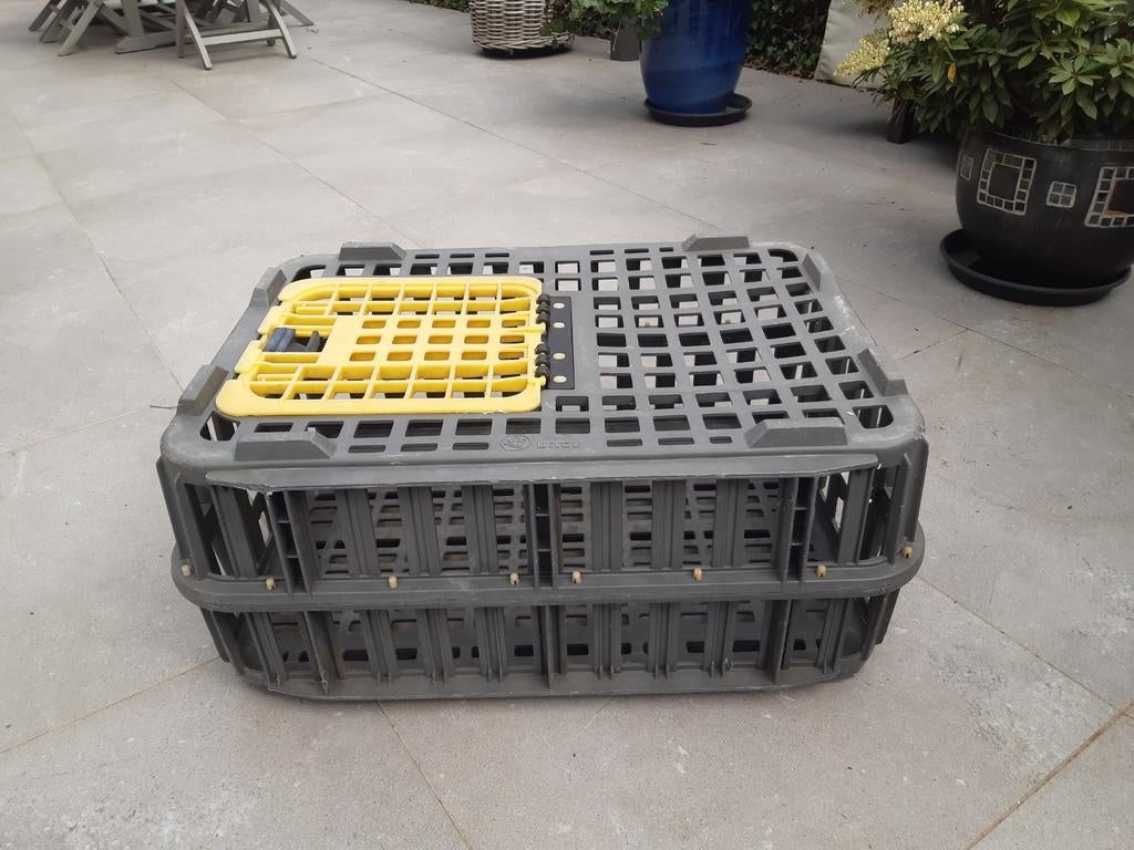 Transportkosten kippen, Dieren en Toebehoren, Ophalen