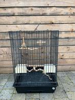 Vogelkooi, Dieren en Toebehoren, Ophalen of Verzenden, Zo goed als nieuw, Vogelkooi
