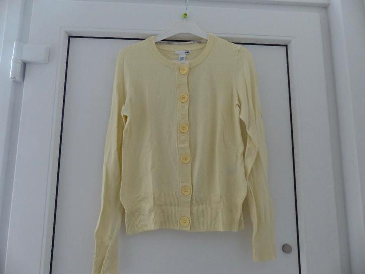 H&M lichtgeel jasje - maat XS, Kleding | Dames, Truien en Vesten, Zo goed als nieuw, Maat 34 (XS) of kleiner, Geel, Ophalen of Verzenden