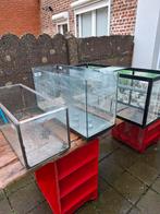 Les aquariums gratuits ont disparu, Animaux & Accessoires, Enlèvement