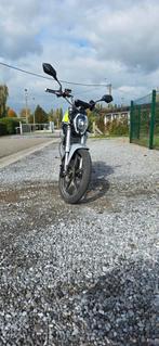 Stel uw auto of maxi-scooter voor om aanbiedingen te doen, Particulier, Scooter