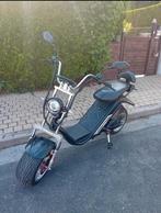 Fatboy elektrische brommer, Enlèvement