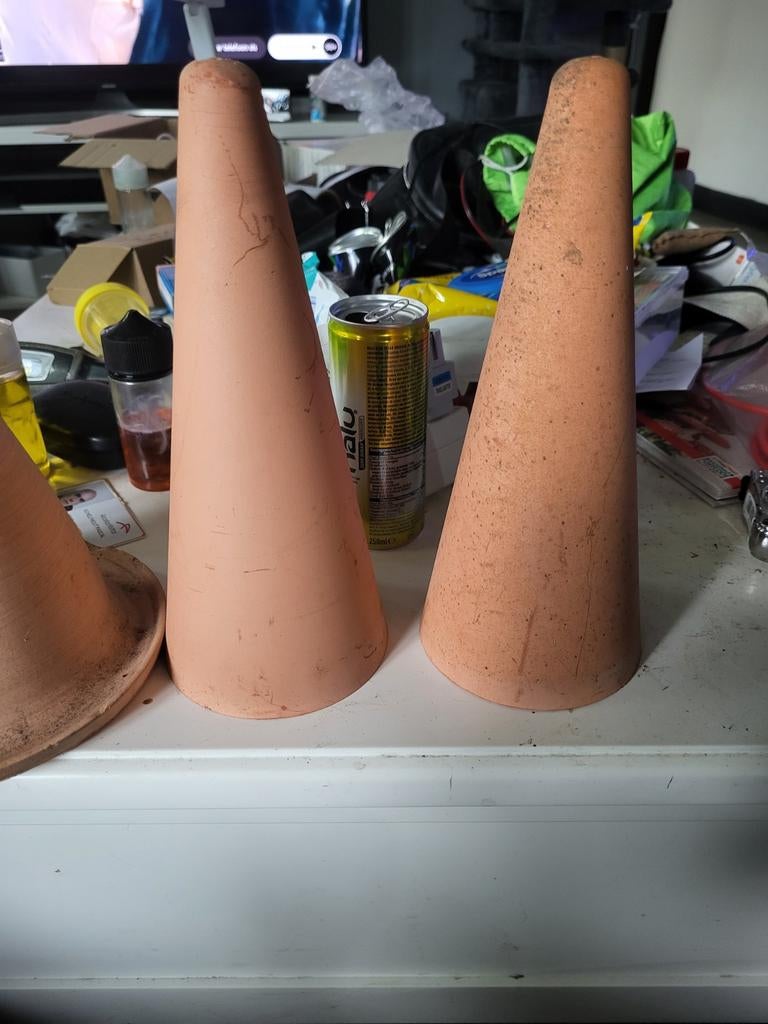 Cône de disque, Animaux & Accessoires, Enlèvement