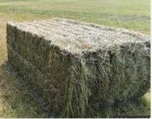 Foin - Ballots de 90x120x200, Dieren en Toebehoren, Stalling en Weidegang