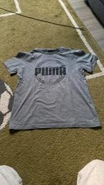 Puma t-shirt sport, Kleding | Heren, Sportkleding, Ophalen, Zo goed als nieuw, Grijs, Fitness